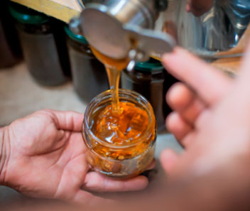 Nuestros productores